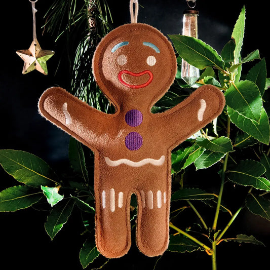 Jean Genie the Gingerbread Person, Eco Toy Lancashire Dog Treats