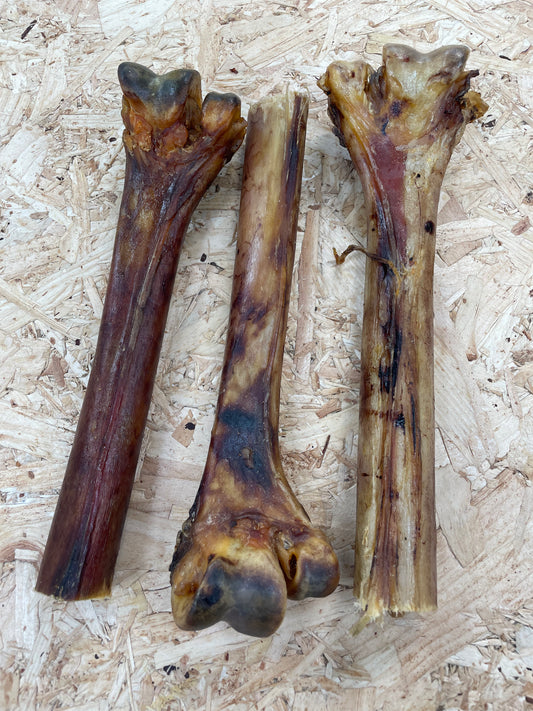 Ostrich Metatarsus Bone