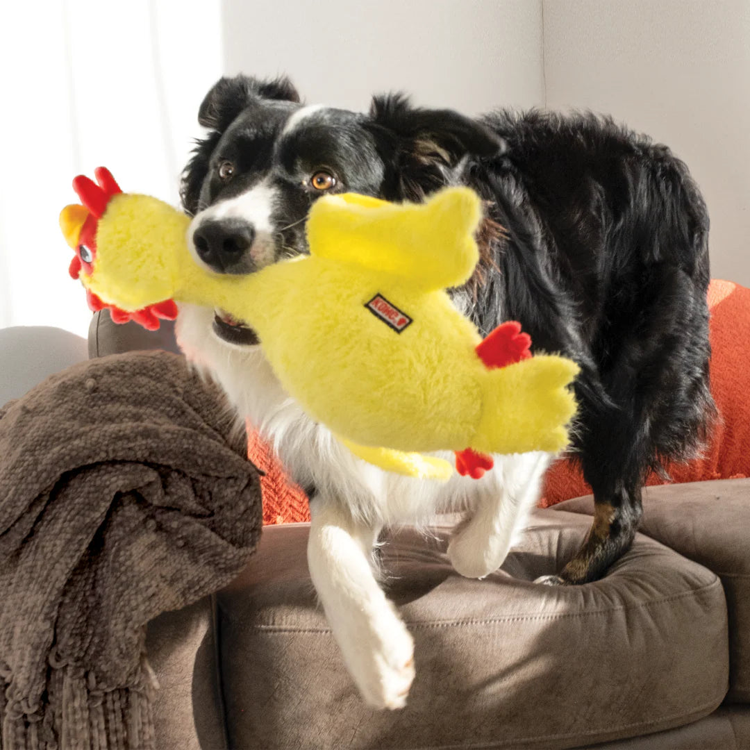 KONG Scruffs Dog Toy | Long Neck, Squeaker & Plush Fun