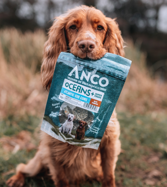 ANCO Oceans - Atlantic Cod Coins with Pumpkin (50g)