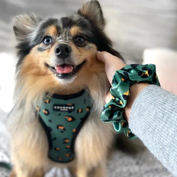 Cocopups - Khaki Green Leopard
