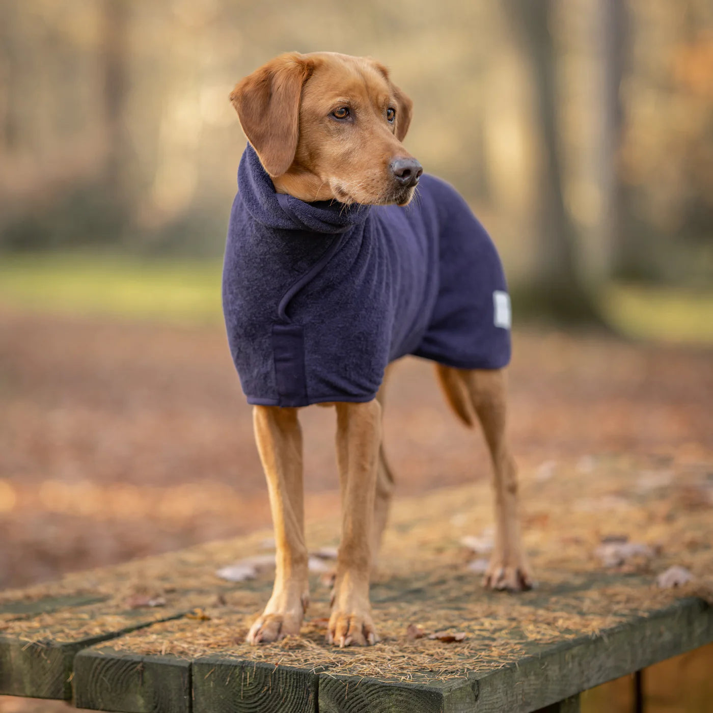 Ruff and Tumble Drying Coat - Blackberry Lancashire Dog Treats