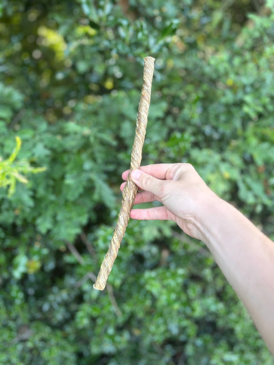 Bladder Twist
