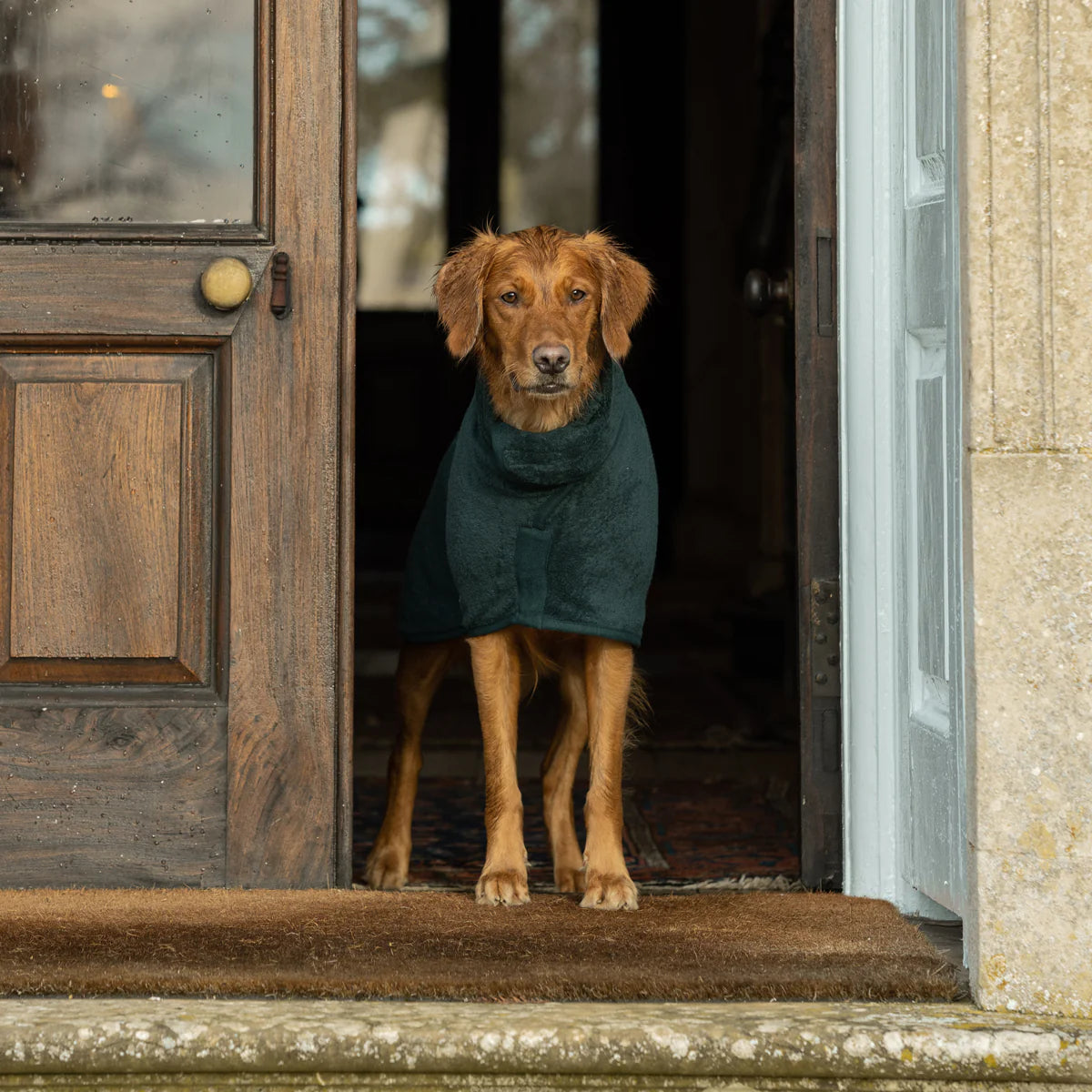 Ruff and Tumble Drying Coat - Forrest Green Lancashire Dog Treats