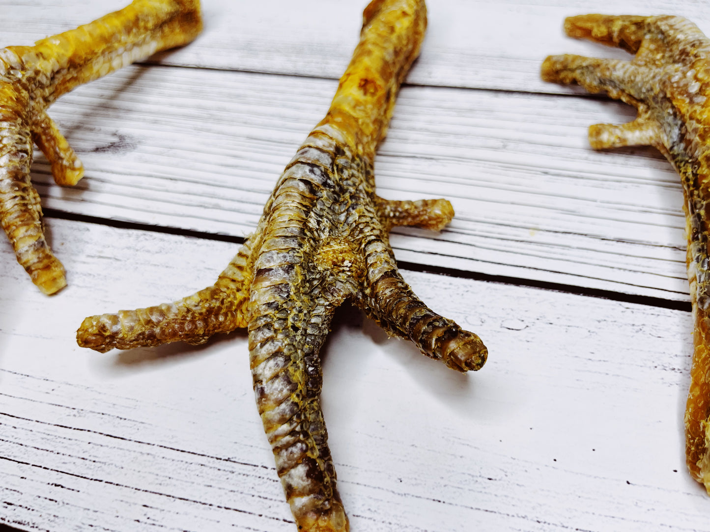 Turkey Foot Lancashire Dog Treats