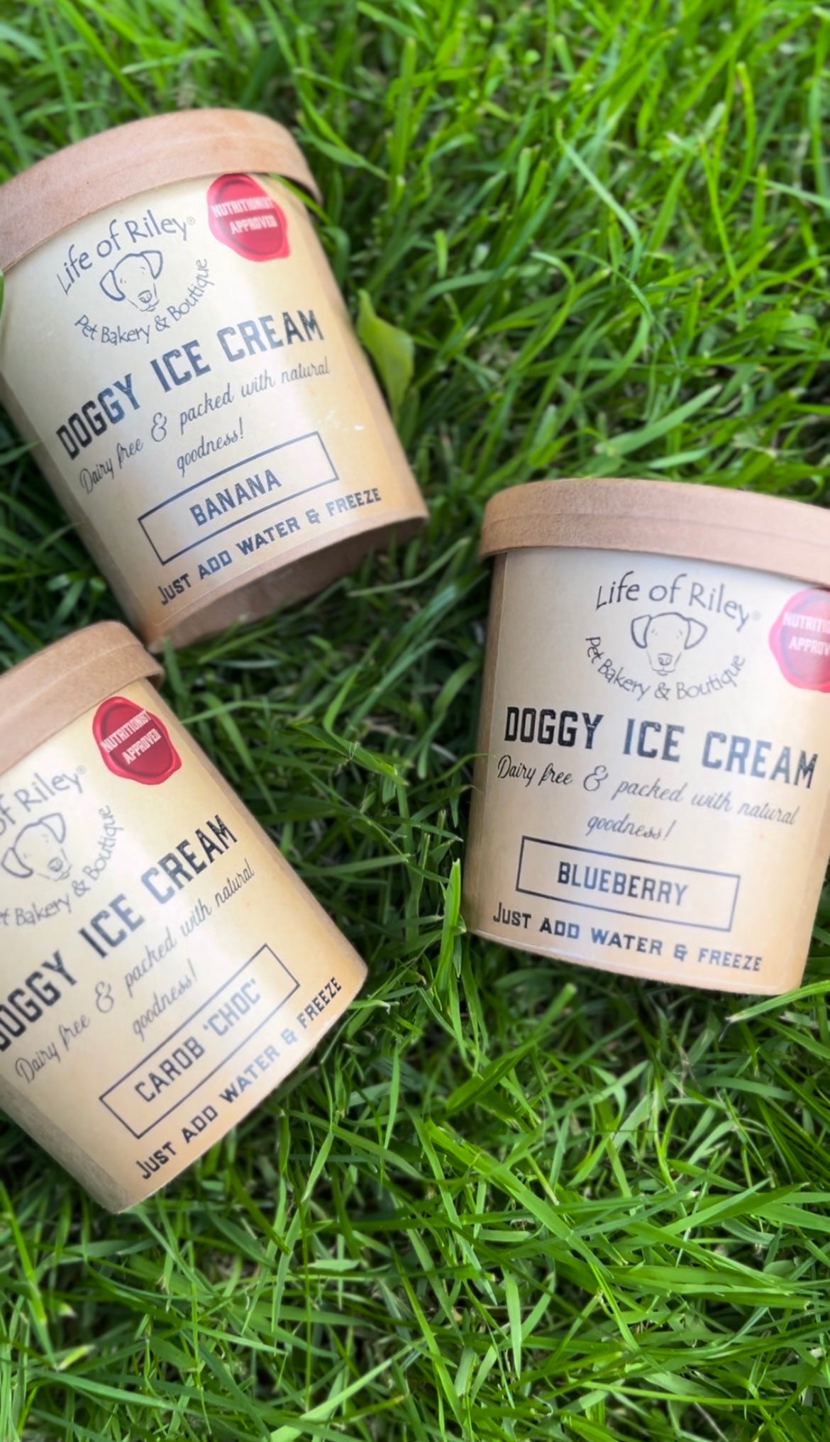 DIY Doggy Ice Cream Lancashire Dog Treats