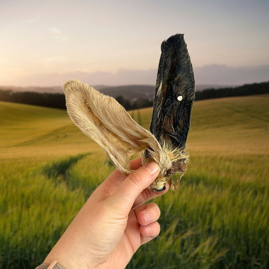 A Natural Chew and Sensory Treat. Lamb Ears are made from 100% Air dried Lamb ears High in Protein, Low in Fat and Hypoallergenic. 
