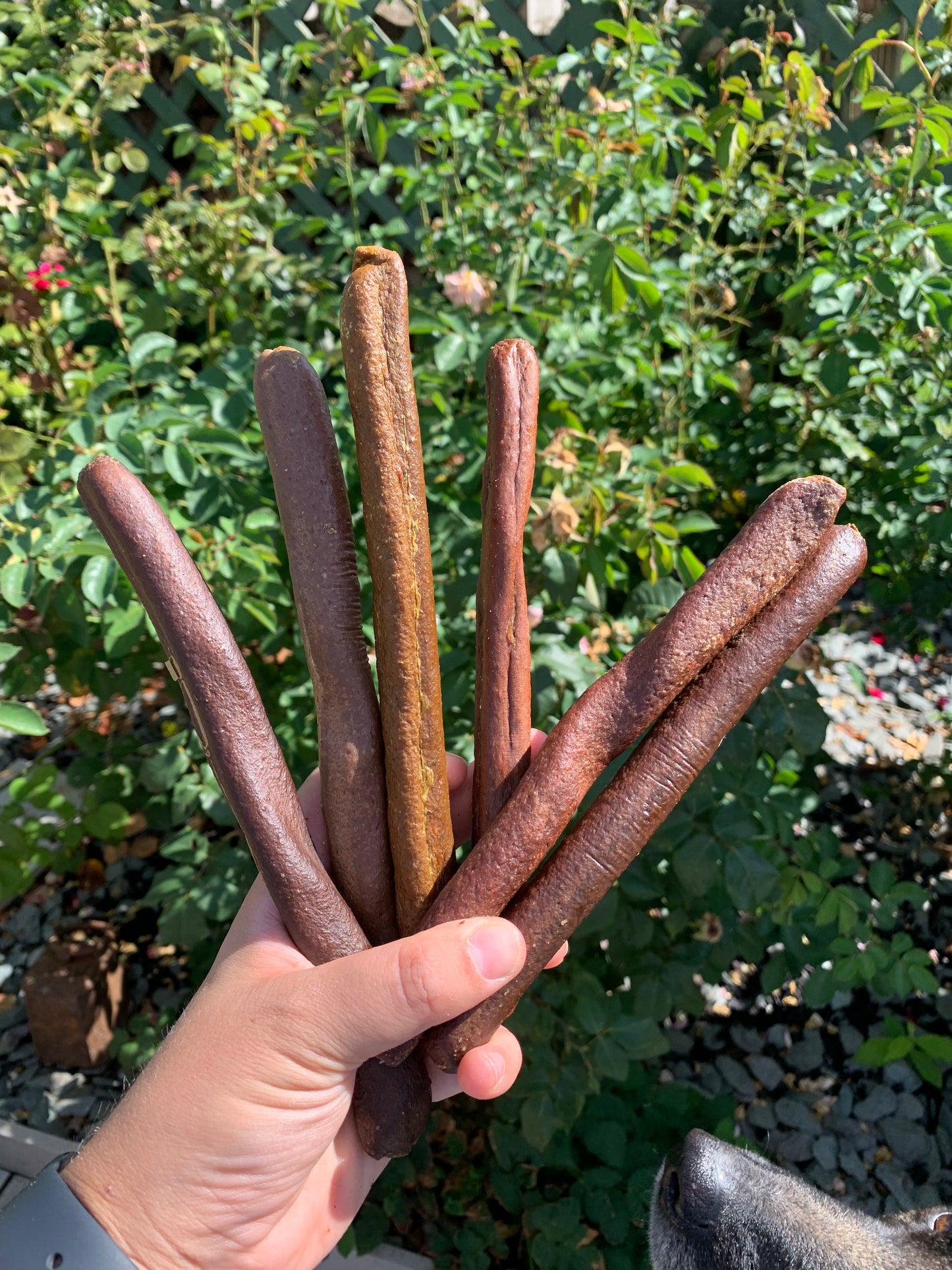 Natural Gourmet Sausage Sticks Lancashire Dog Treats