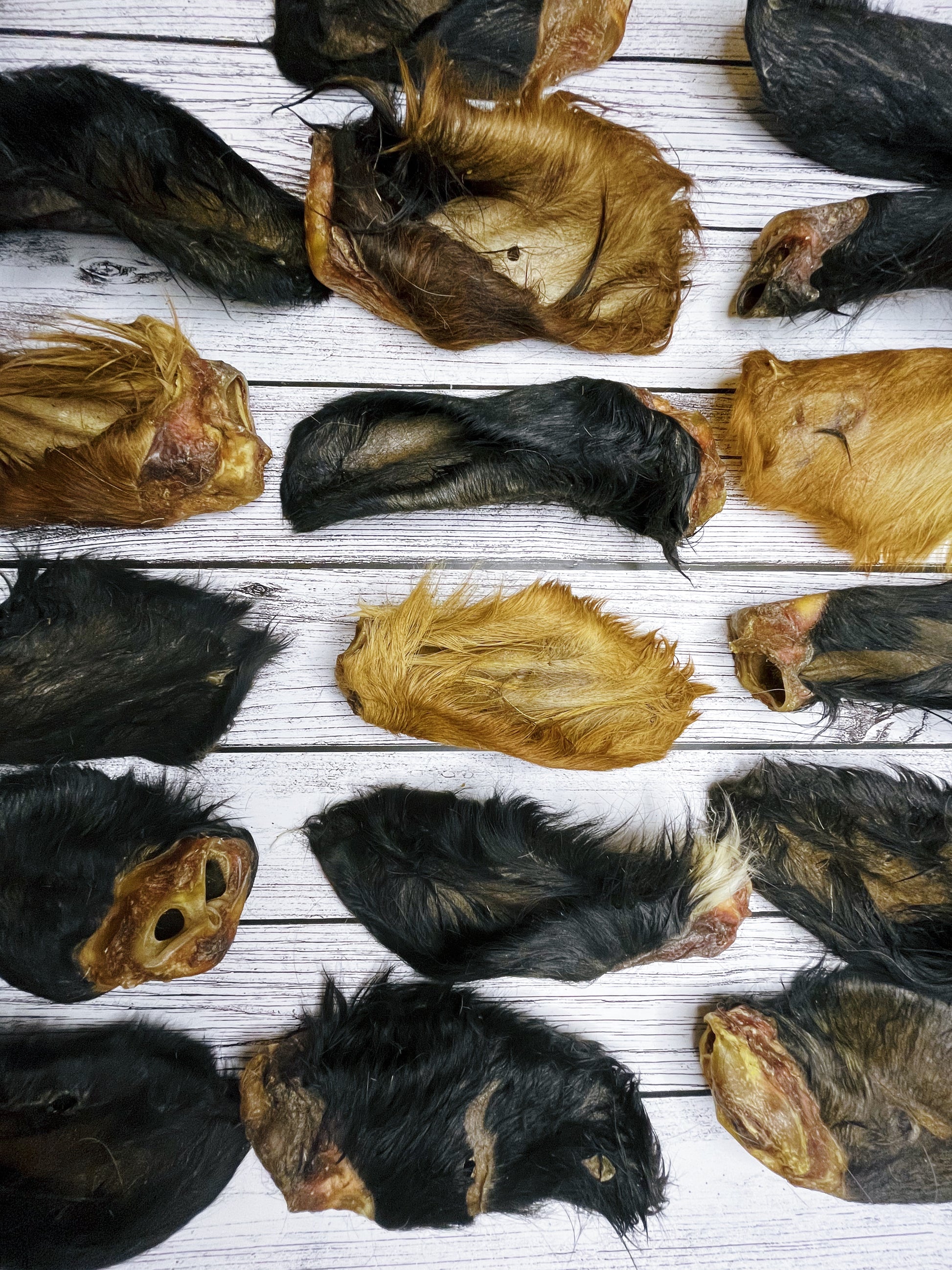 Hairy Cows Ear Lancashire Dog Treats