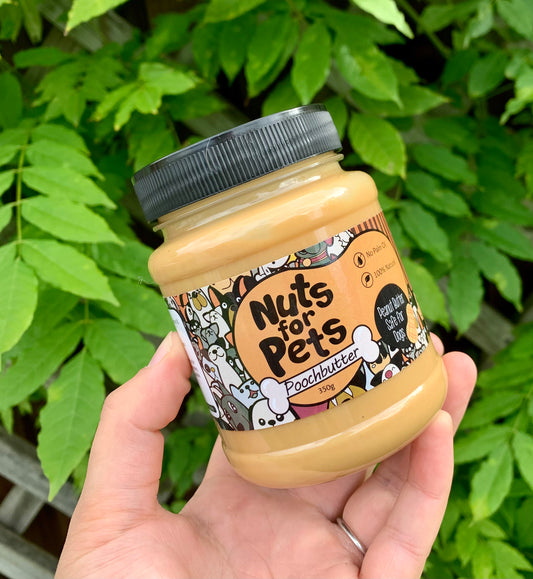 Nuts for Pets - Peanut butter Lancashire Dog Treats