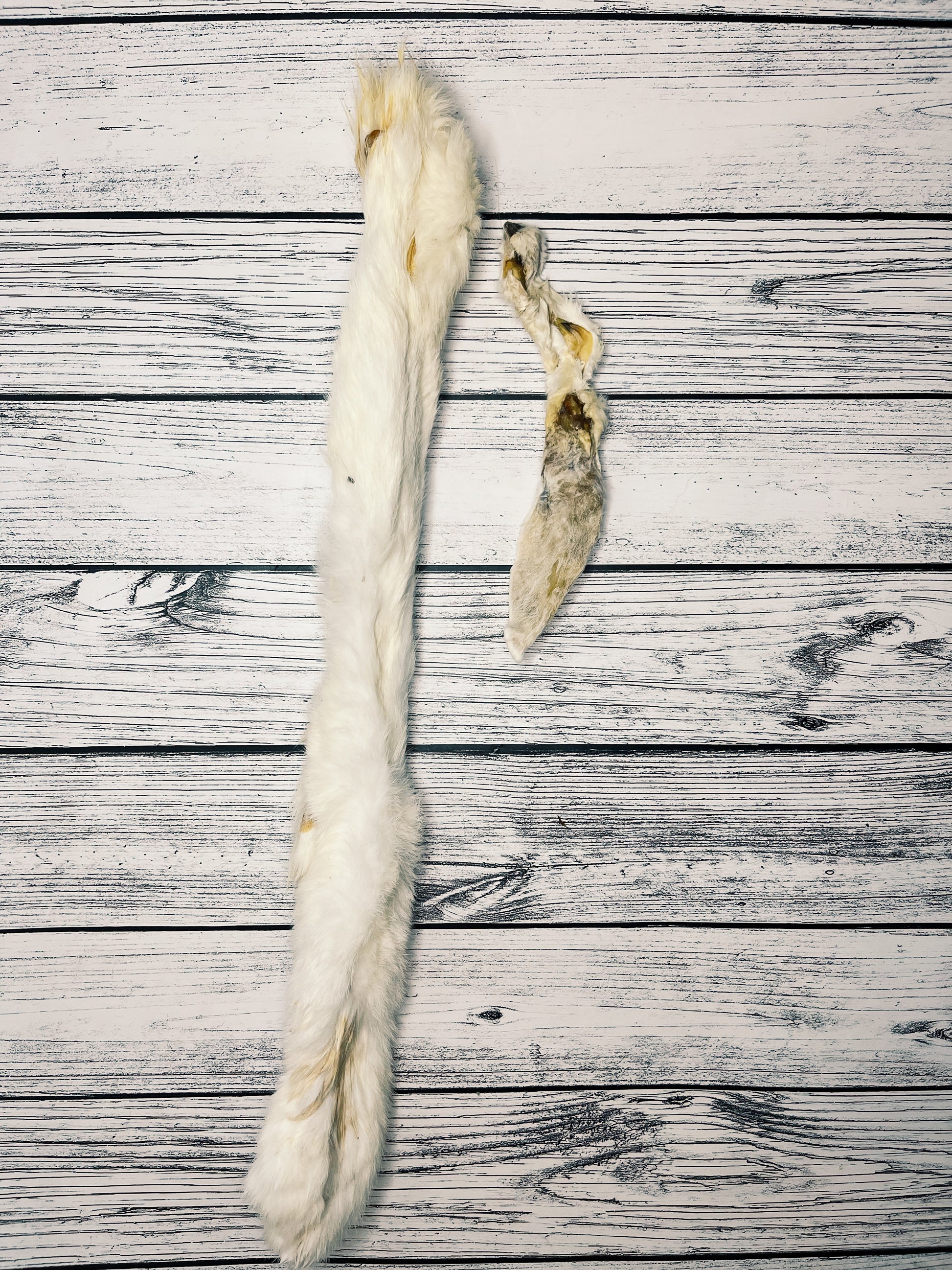 Rabbit skin with fur Lancashire Dog Treats