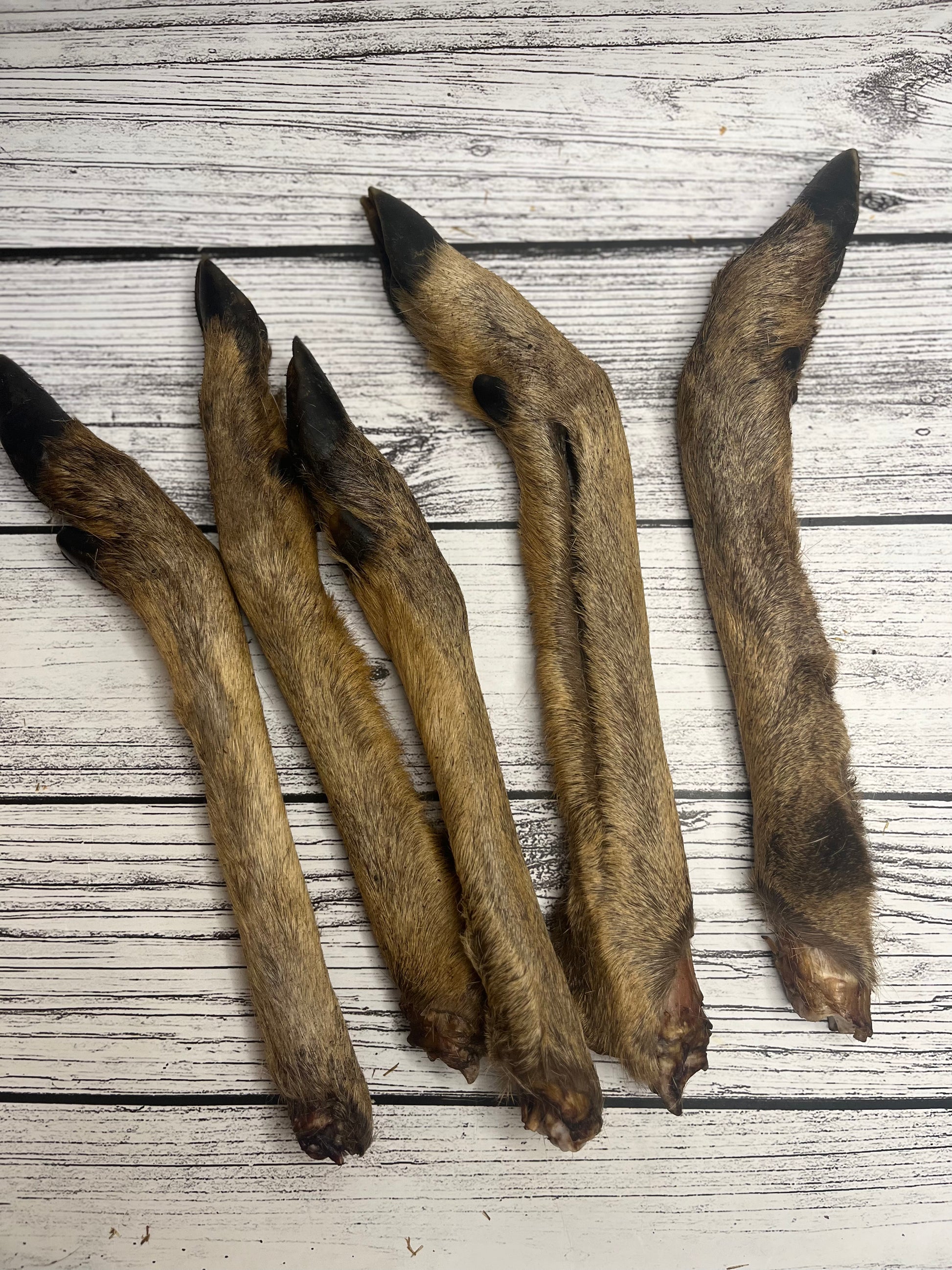 Hairy Roe Leg - Venison Lancashire Dog Treats