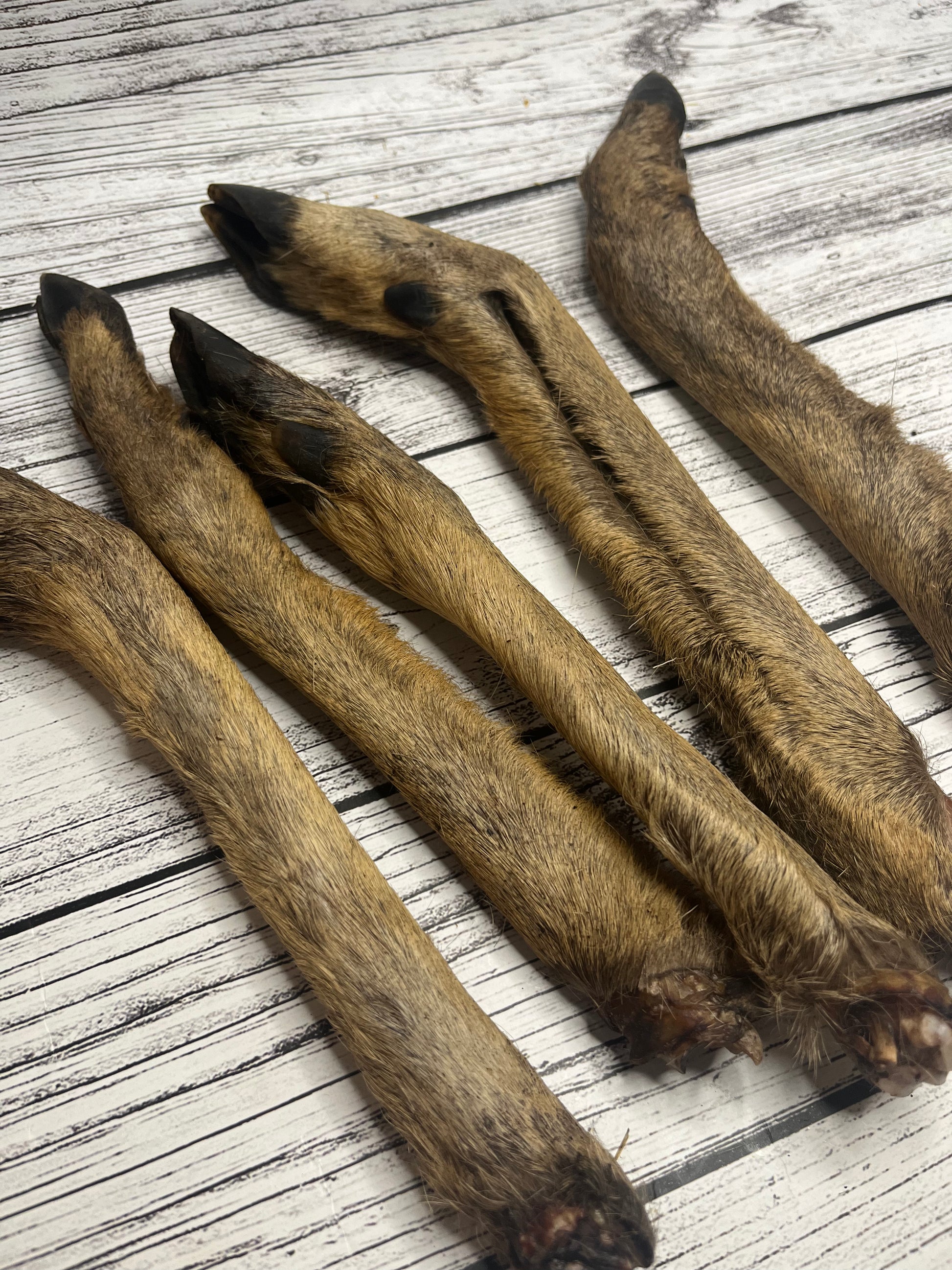 Hairy Roe Leg - Venison Lancashire Dog Treats